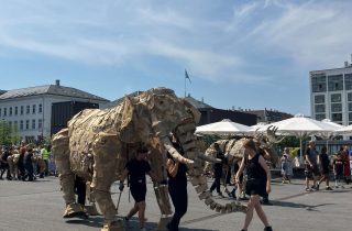 20250720_121059632_iOS-web