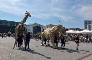 20250720_121106513_iOS_web