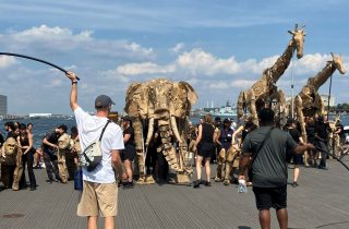 20250720_122134634_iOS_web