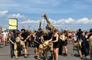 20250720_122533551_iOS_web