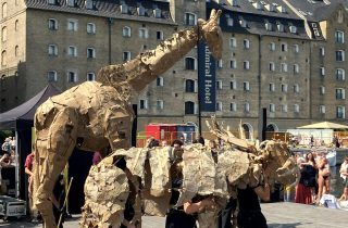 20250720_123451681_iOS_web